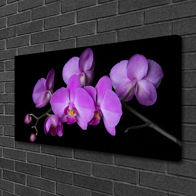 Canvas doek foto Orchidee orchidee bloemen