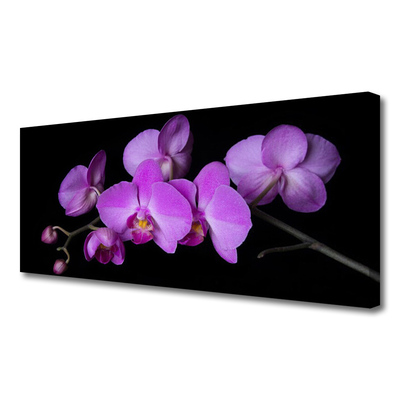 Canvas doek foto Orchidee orchidee bloemen