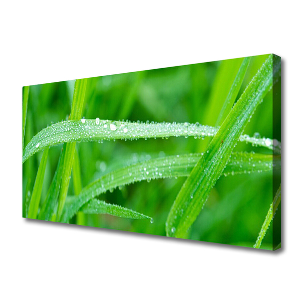 Canvas doek foto Bladeren natuur dew drops