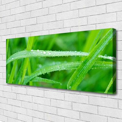 Canvas doek foto Bladeren natuur dew drops