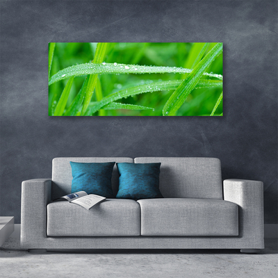 Canvas doek foto Bladeren natuur dew drops