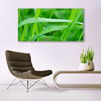 Canvas doek foto Bladeren natuur dew drops