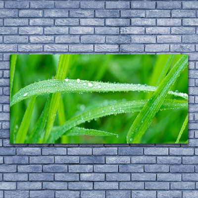 Canvas doek foto Bladeren natuur dew drops