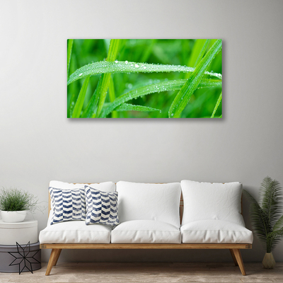 Canvas doek foto Bladeren natuur dew drops