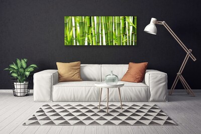 Canvas doek foto Bamboo shoots bamboo leaves