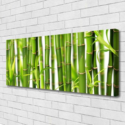 Canvas doek foto Bamboo shoots bamboo leaves