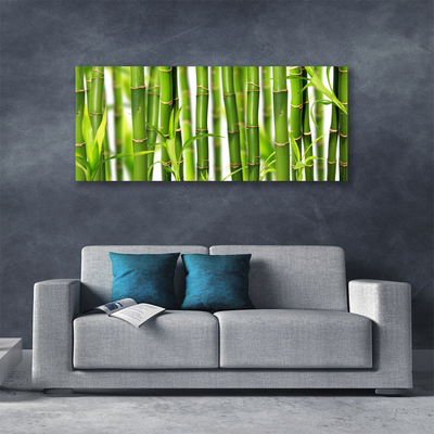 Canvas doek foto Bamboo shoots bamboo leaves