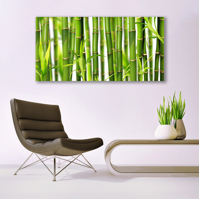 Canvas doek foto Bamboo shoots bamboo leaves