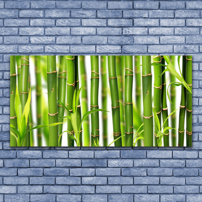 Canvas doek foto Bamboo shoots bamboo leaves