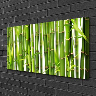 Canvas doek foto Bamboo shoots bamboo leaves