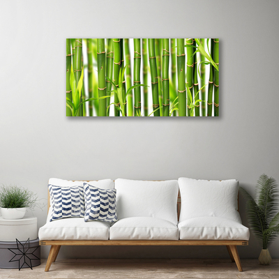 Canvas doek foto Bamboo shoots bamboo leaves