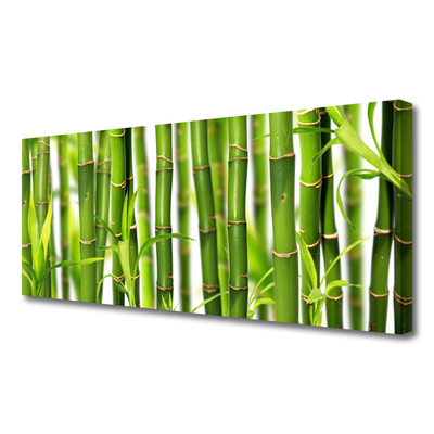 Canvas doek foto Bamboo shoots bamboo leaves