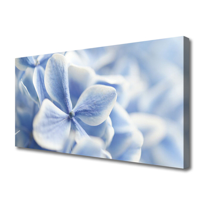 Canvas doek foto Petals bloemen nature