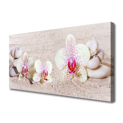 Canvas doek foto Orchidee orchidee sand