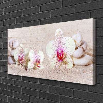 Canvas doek foto Orchidee orchidee sand