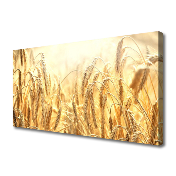 Canvas doek foto Korenaren field nature