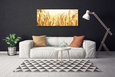 Canvas doek foto Korenaren field nature