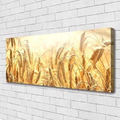 Canvas doek foto Korenaren field nature