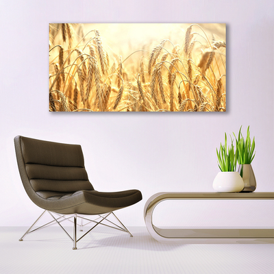 Canvas doek foto Korenaren field nature