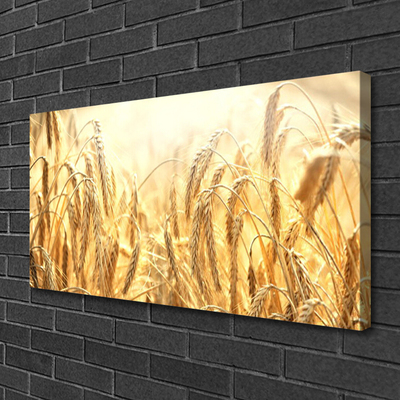 Canvas doek foto Korenaren field nature