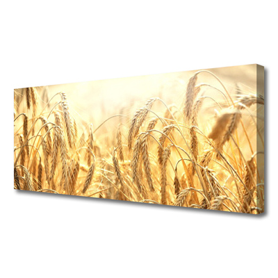 Canvas doek foto Korenaren field nature