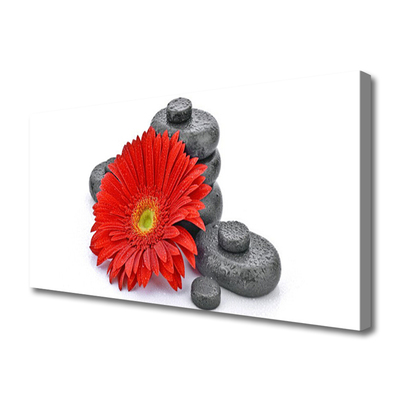 Canvas doek foto Rode gerbera bloemen