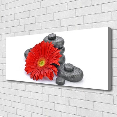 Canvas doek foto Rode gerbera bloemen