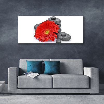 Canvas doek foto Rode gerbera bloemen