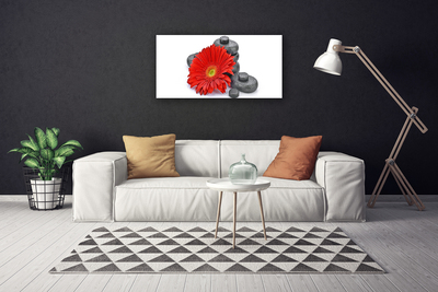 Canvas doek foto Rode gerbera bloemen