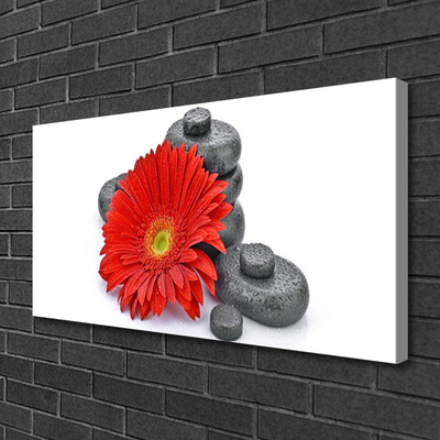 Canvas doek foto Rode gerbera bloemen