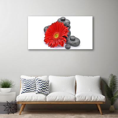 Canvas doek foto Rode gerbera bloemen