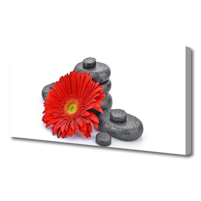 Canvas doek foto Rode gerbera bloemen