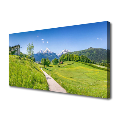 Canvas doek foto Mountain meadow path valley