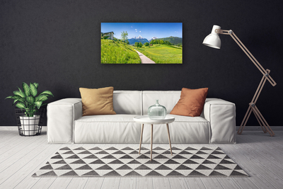 Canvas doek foto Mountain meadow path valley