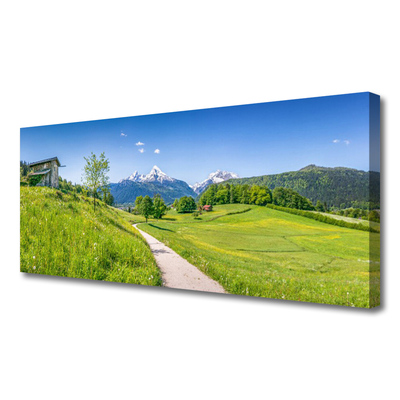 Canvas doek foto Mountain meadow path valley