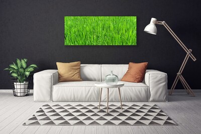 Canvas doek foto Nature green grass turf