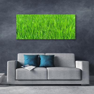 Canvas doek foto Nature green grass turf