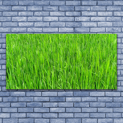 Canvas doek foto Nature green grass turf