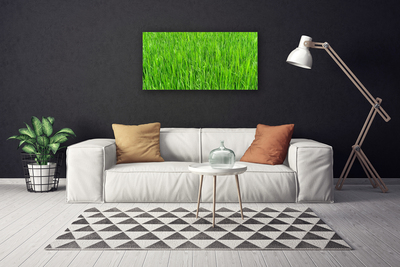 Canvas doek foto Nature green grass turf