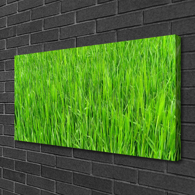 Canvas doek foto Nature green grass turf