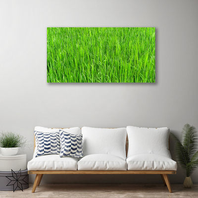 Canvas doek foto Nature green grass turf
