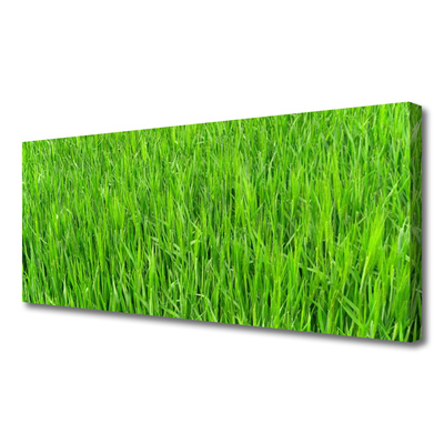 Canvas doek foto Nature green grass turf