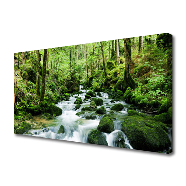 Canvas doek foto Bos stroom river falls