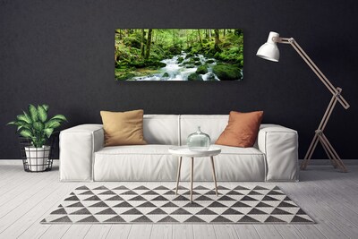 Canvas doek foto Bos stroom river falls