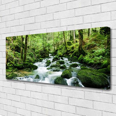 Canvas doek foto Bos stroom river falls