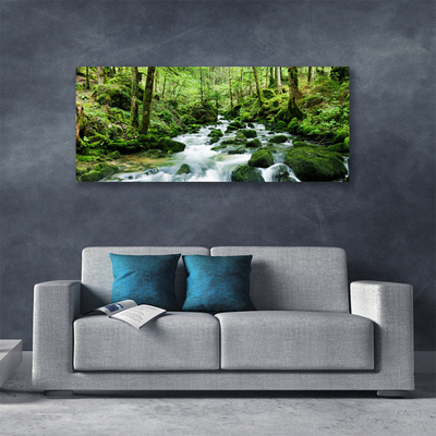 Canvas doek foto Bos stroom river falls