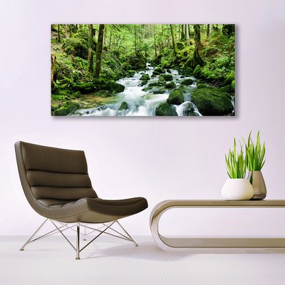 Canvas doek foto Bos stroom river falls