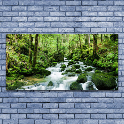 Canvas doek foto Bos stroom river falls