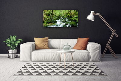 Canvas doek foto Bos stroom river falls