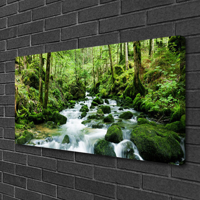 Canvas doek foto Bos stroom river falls